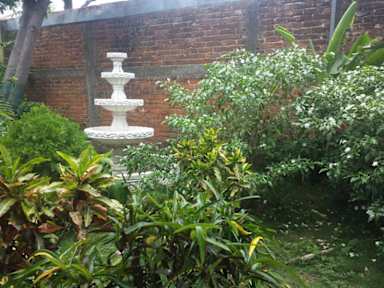Fotos de The Sleeping Dog Hostel