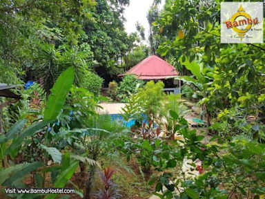 Bilder av Bambu Hostel
