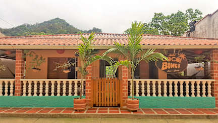 Hostal Cocobomgo照片