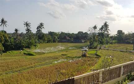 Zdjęcia nagrodzone Bunga Ayu Homestay