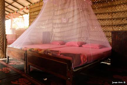 Bilder av Jungle Vista Backpackers