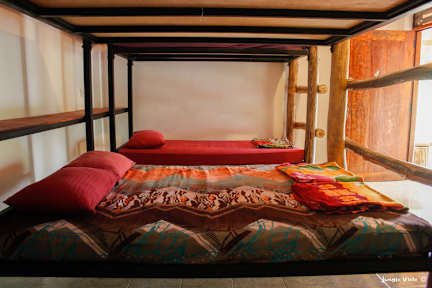 Bilder av Jungle Vista Backpackers