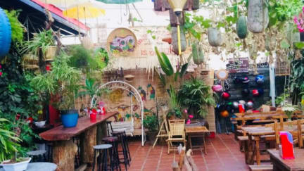 Photos of Redhouse Backpackers Hostel