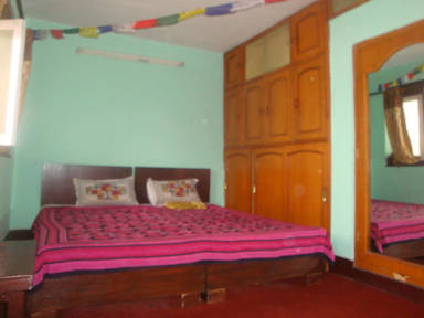 The Nepali Hive照片
