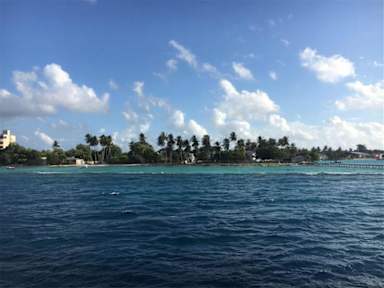 Фотографии Midsummer Thulusdhoo