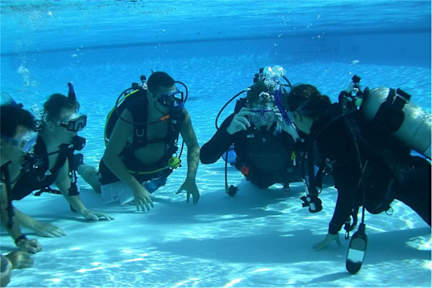 Carabao Diving Resort照片