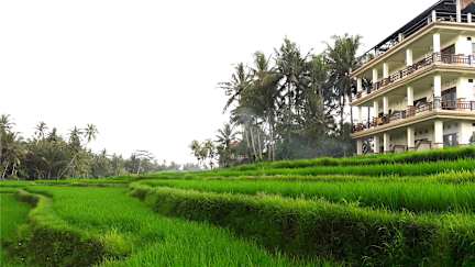 Fotografias de Nirwa Ubud Karma