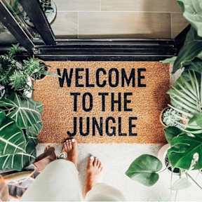The Urban Jungle Rooftop hostel照片