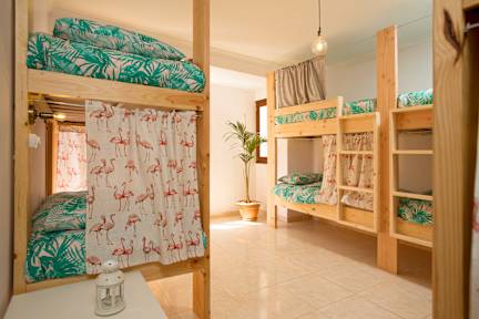 Bilder av Avocado Surf Hostel