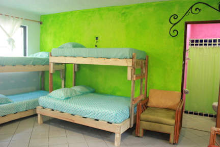 Mangrove Inn Akumal tesisinden Fotoğraflar