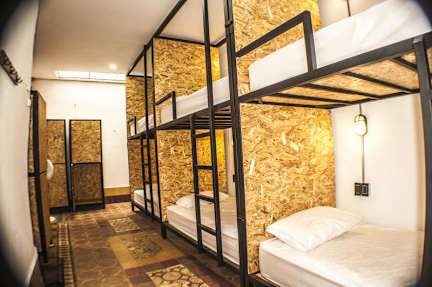 Blue Fox Hostel照片