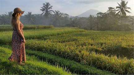 Foto di Coconut Ubud Hostel
