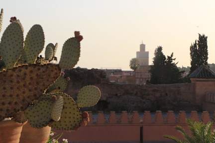 Fotos von Riad Ciel D'orient