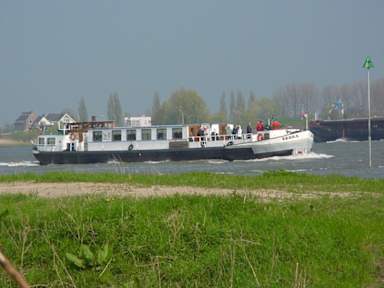 Fotky Botel Zebra