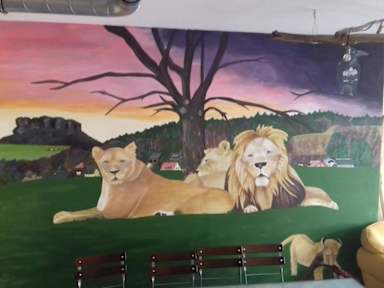 Fotky 4Lions Hostel