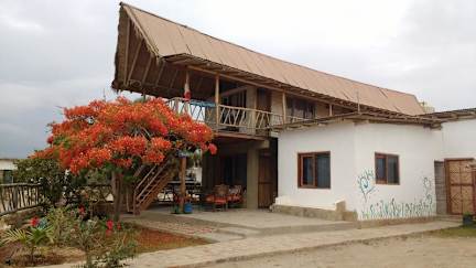 Фотографии Ecodelfinazul Hostel