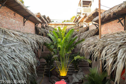 Tropic Hostelの写真