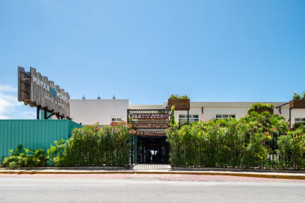 Mayan Monkey Hostel Cancun tesisinden Fotoğraflar
