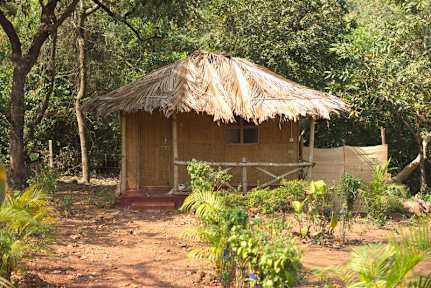 Fotos de Credo Jungle Resort - Agonda