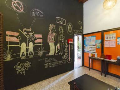 Bilder av Cocoa Mews Cafe & Homestay