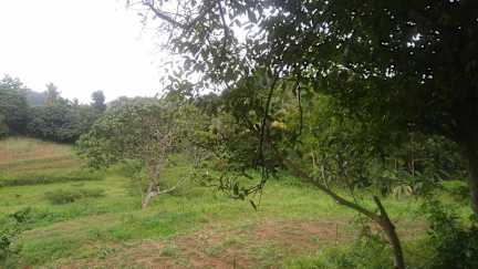 Billeder af Ambanwala Tourist Bungalow