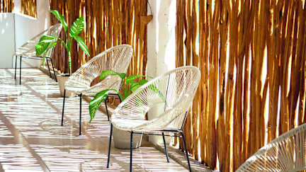 Fotos de Coelum Tulum