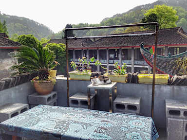 Kuvia paikasta: Ten People One House