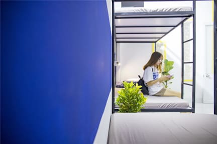 Sky Harbour Hostel Da Nang照片