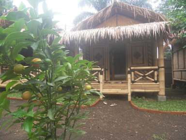 Javana Bamboo Cottage tesisinden Fotoğraflar