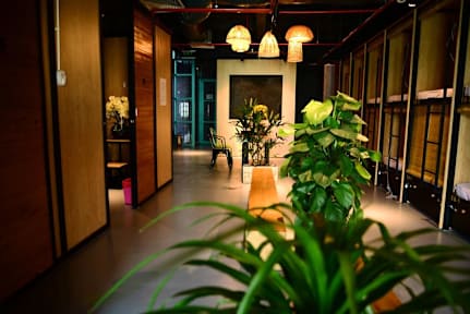 Kuvia paikasta: Hostel Stingray