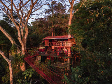 Photos of The Treehouse