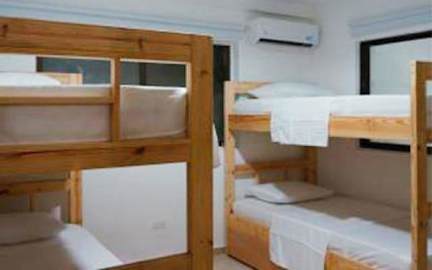 Hostal Palo Alto의 사진
