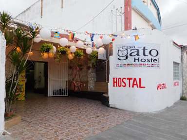 Bilder av La Casa del Gato Hostel