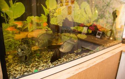 Kuvia paikasta: Hostels Rus – Park Pobedy
