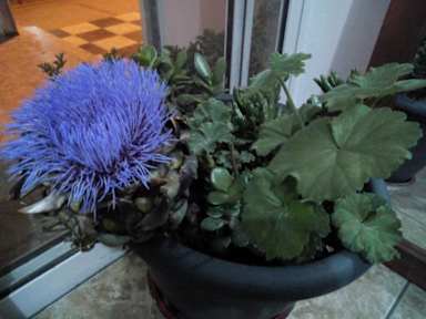 Paphos Inn Hostel照片