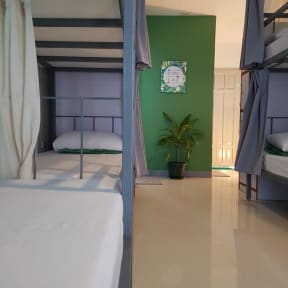 Kuvia paikasta: Green Turtle Backpackers Guesthouse