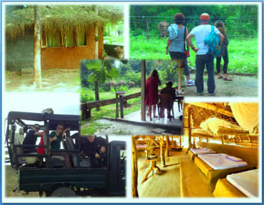 Greenwood Udawalawa Safari Resort tesisinden Fotoğraflar