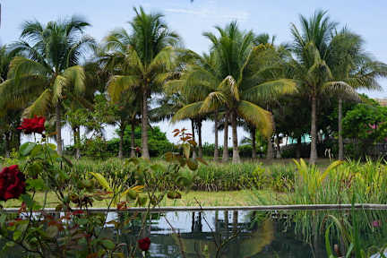 Fotos de Soul Food Kitchen and Guesthouse