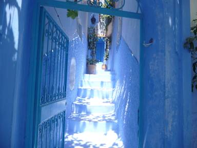 Bilder av Casa Blue Star
