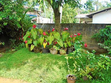 Foto di Ceylon Hostel Galle
