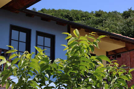Фотографии Arra Hostel