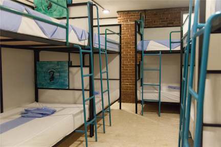 Zdjęcia nagrodzone Bunky Monkey Hostels