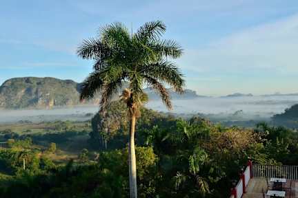 Фотографии Center Vinales Hostel Las Estrellas