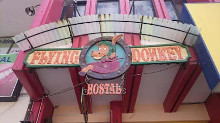 Hostal Flying Donkey의 사진