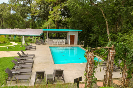 Teva Jungle Hotel and Hostelの写真