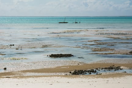 Photos of New Teddy's on the Beach