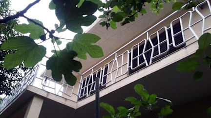 Photos of Djura Guesthouse