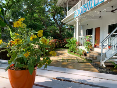 Rootsvilla Hostel Goaの写真