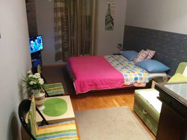 Photos of Lovely Studio in Central Podgorica