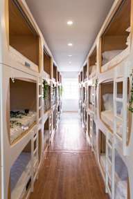 Fotos de The Mulberry tree Urban Hostel